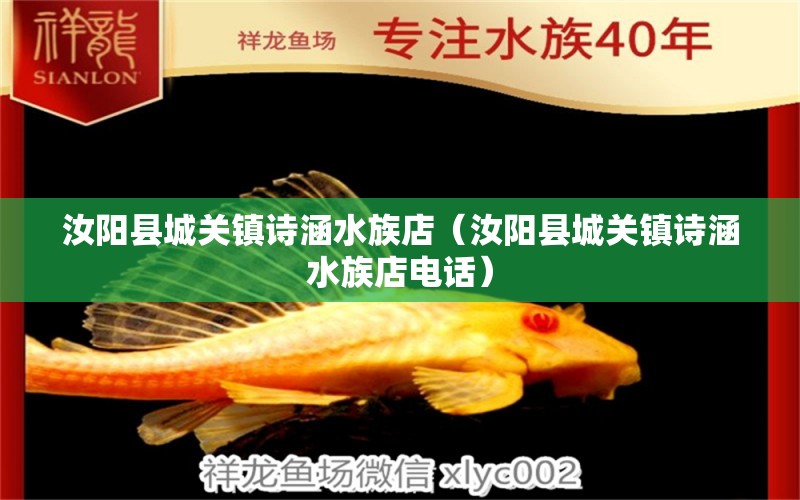 汝阳县城关镇诗涵水族店（汝阳县城关镇诗涵水族店电话）