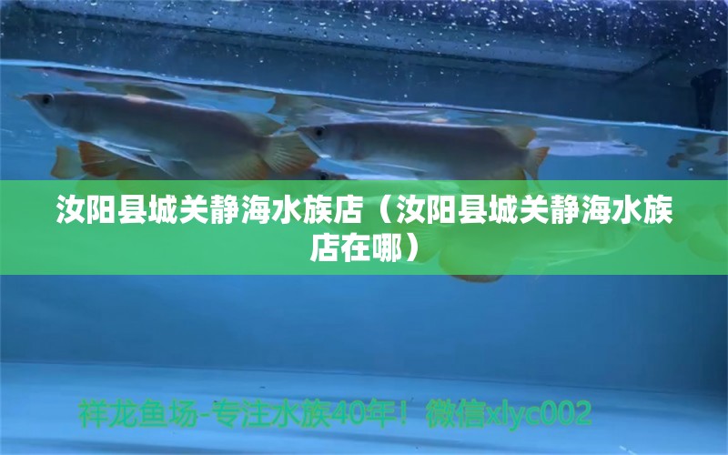 汝阳县城关静海水族店（汝阳县城关静海水族店在哪） 全国水族馆企业名录