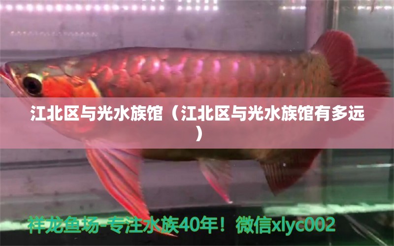 江北区与光水族馆（江北区与光水族馆有多远）