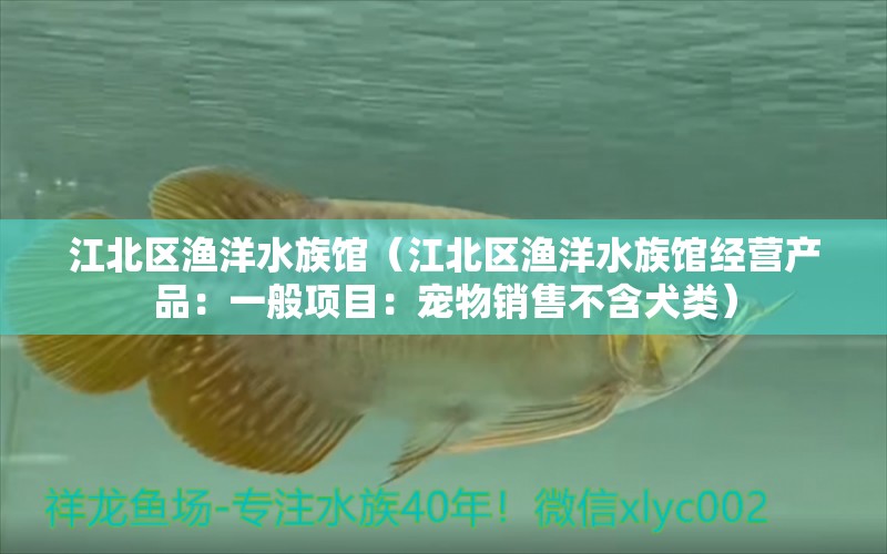 江北区渔洋水族馆（江北区渔洋水族馆经营产品：一般项目：宠物销售不含犬类） 全国观赏鱼市场 第1张