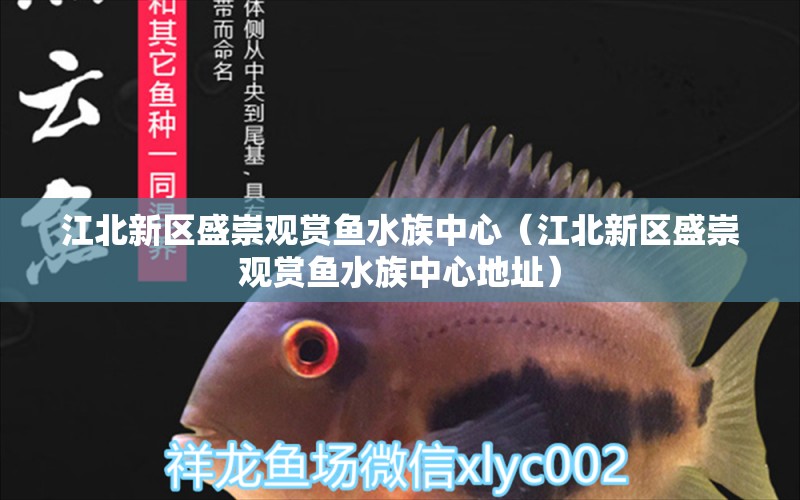 江北新区盛崇观赏鱼水族中心（江北新区盛崇观赏鱼水族中心地址）