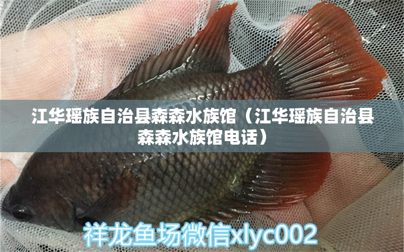 江华瑶族自治县森森水族馆（江华瑶族自治县森森水族馆电话）