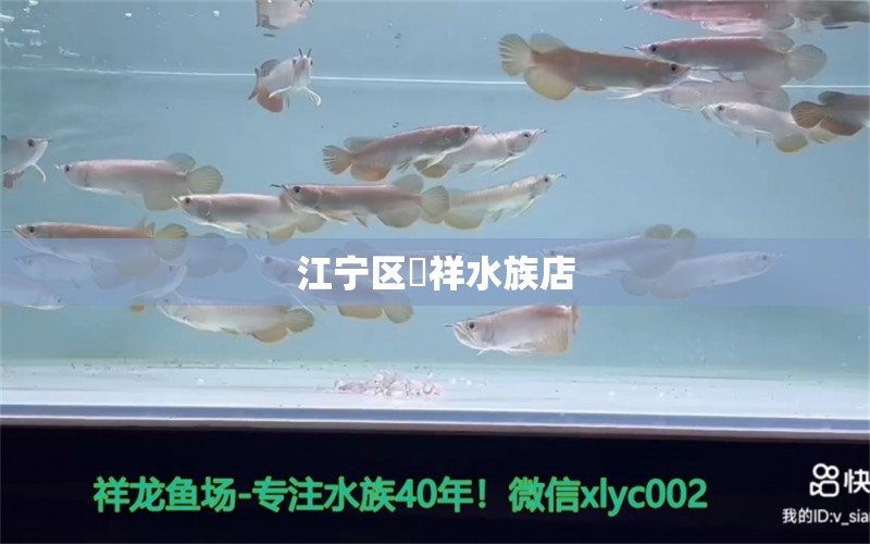 江宁区璟祥水族店