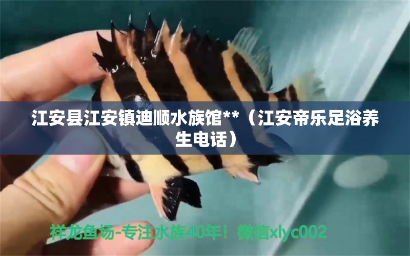 江安县江安镇迪顺水族馆**（江安帝乐足浴养生电话）