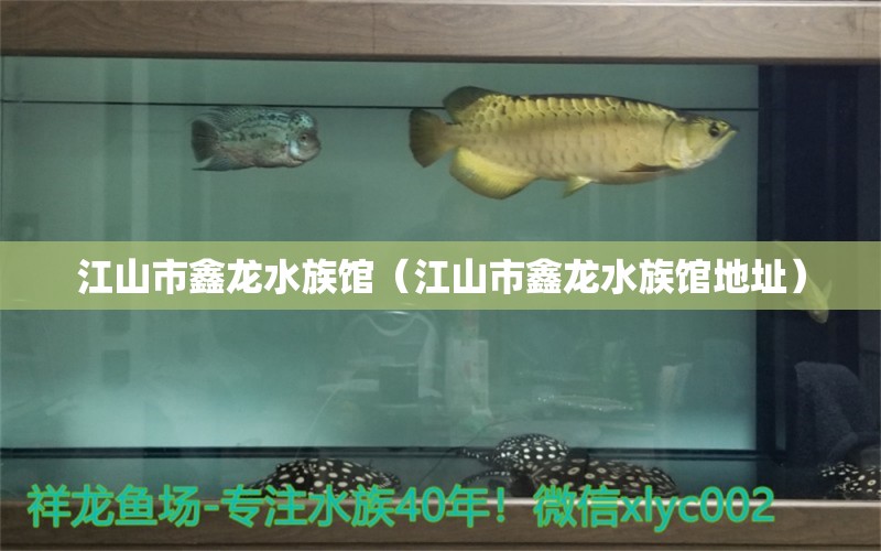 江山市鑫龙水族馆（江山市鑫龙水族馆地址）