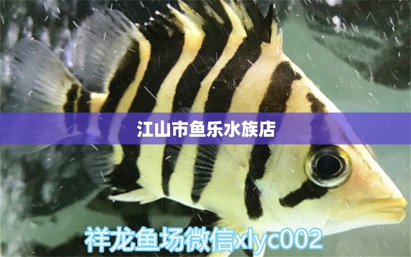 江山市鱼乐水族店 全国水族馆企业名录