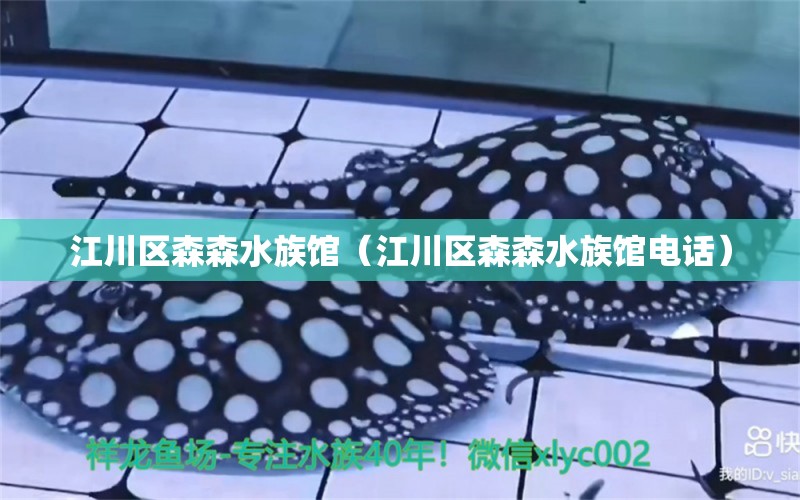 江川区森森水族馆（江川区森森水族馆电话） 全国水族馆企业名录