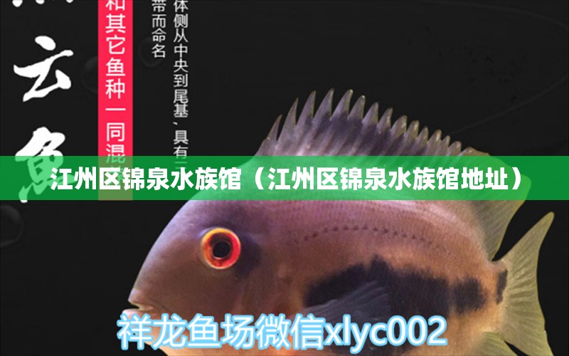 江州区锦泉水族馆（江州区锦泉水族馆地址） 全国水族馆企业名录