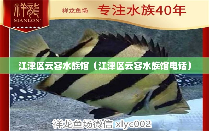 江津区云容水族馆（江津区云容水族馆电话）