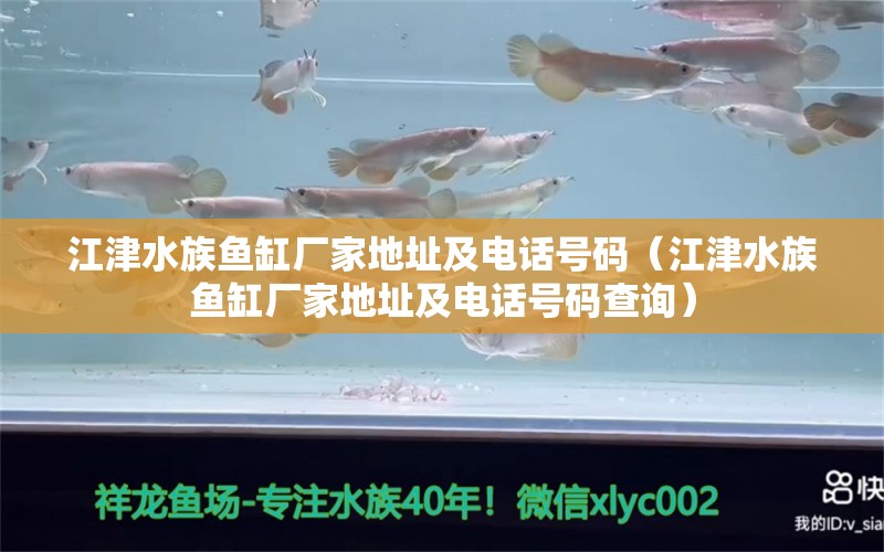 江津水族鱼缸厂家地址及电话号码（江津水族鱼缸厂家地址及电话号码查询）