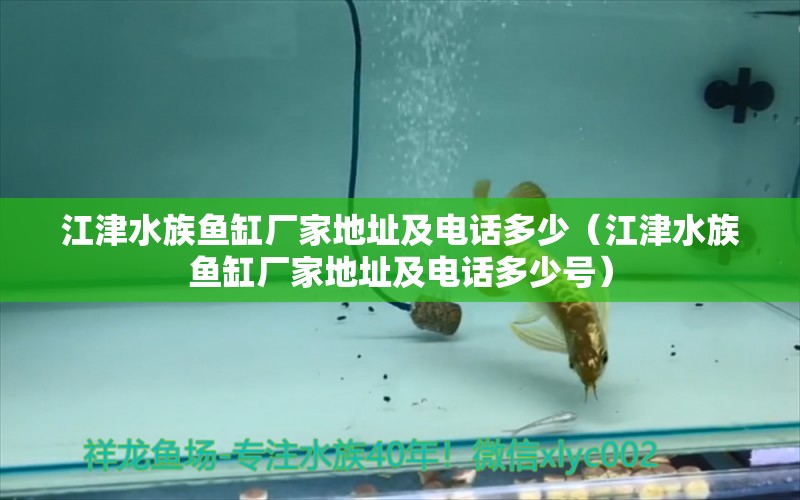 江津水族鱼缸厂家地址及电话多少（江津水族鱼缸厂家地址及电话多少号） 观赏鱼