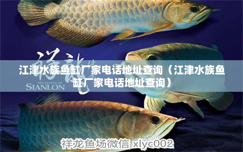 江津水族鱼缸厂家电话地址查询（江津水族鱼缸厂家电话地址查询）