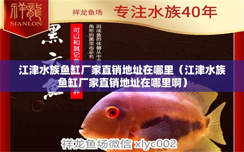 江津水族鱼缸厂家直销地址在哪里（江津水族鱼缸厂家直销地址在哪里啊）