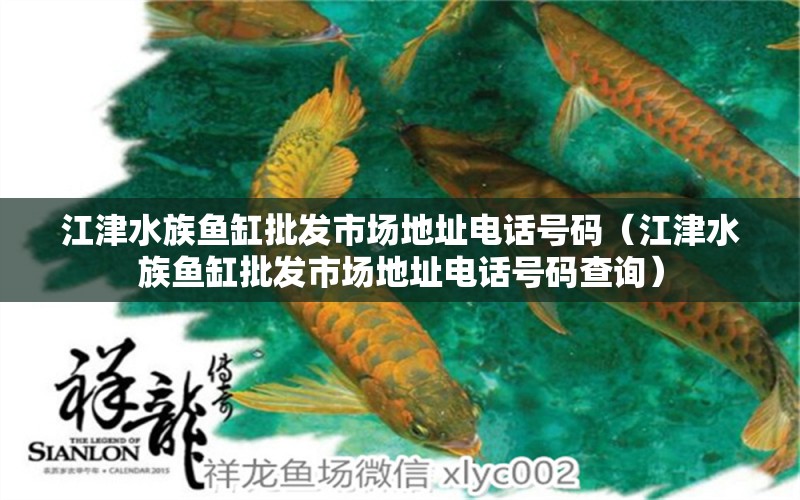 江津水族鱼缸批发市场地址电话号码（江津水族鱼缸批发市场地址电话号码查询）