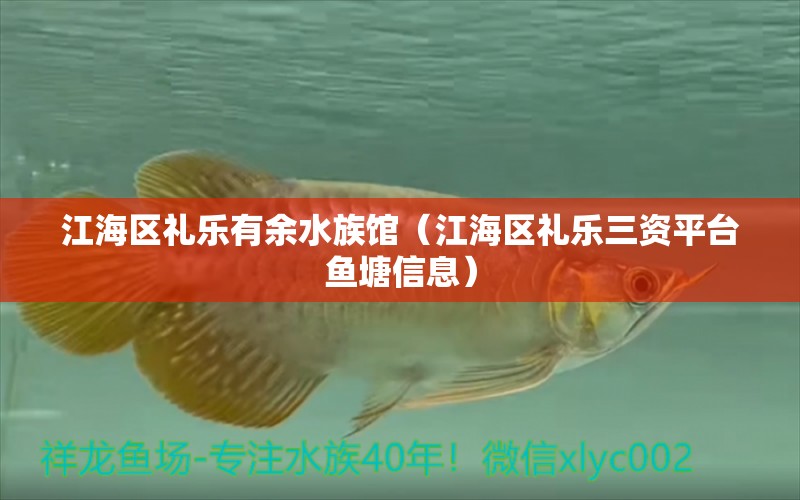 江海区礼乐有余水族馆（江海区礼乐三资平台鱼塘信息） 全国水族馆企业名录