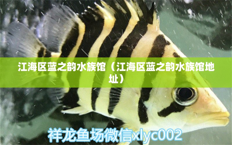 江海区蓝之韵水族馆（江海区蓝之韵水族馆地址）