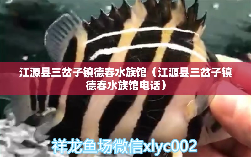 江源县三岔子镇德春水族馆（江源县三岔子镇德春水族馆电话）