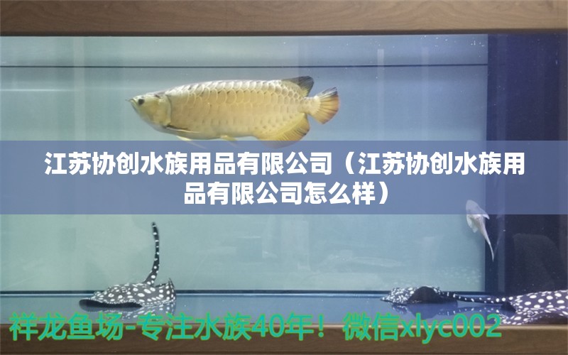 江苏协创水族用品有限公司（江苏协创水族用品有限公司怎么样）