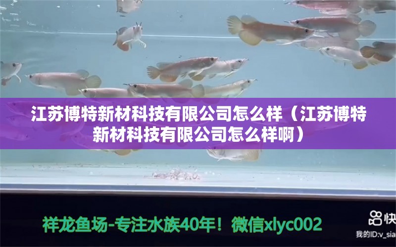 江苏博特新材科技有限公司怎么样（江苏博特新材科技有限公司怎么样啊）