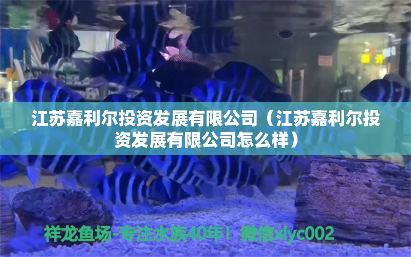 江苏嘉利尔投资发展有限公司（江苏嘉利尔投资发展有限公司怎么样）