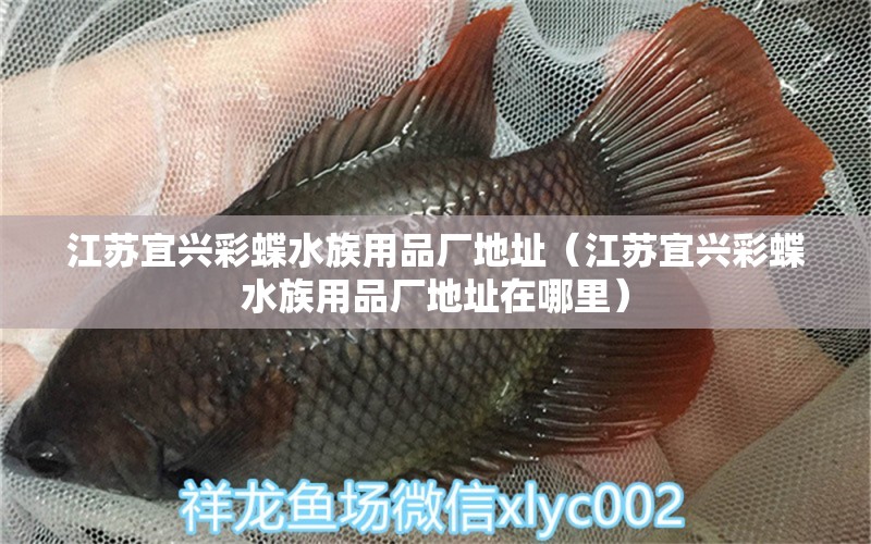 江苏宜兴彩蝶水族用品厂地址（江苏宜兴彩蝶水族用品厂地址在哪里） 水族用品