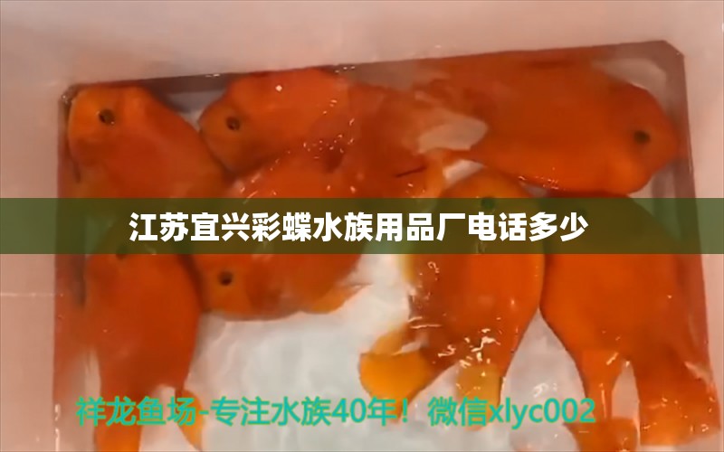 江苏宜兴彩蝶水族用品厂电话多少 