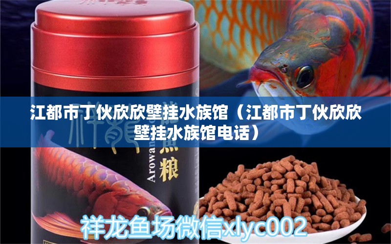 江都市丁伙欣欣壁挂水族馆（江都市丁伙欣欣壁挂水族馆电话） 全国水族馆企业名录