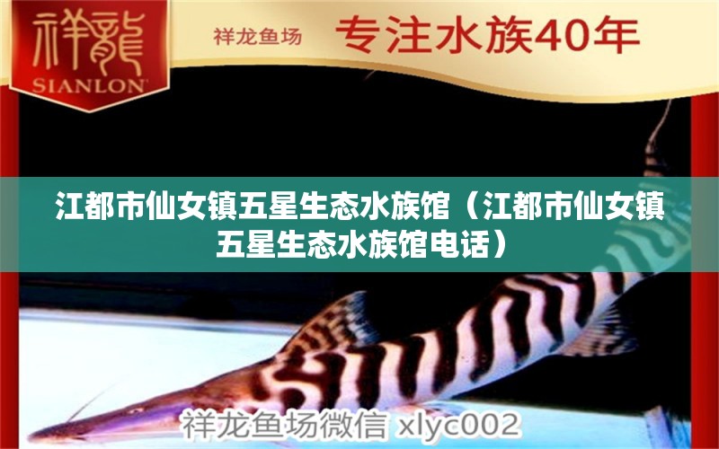 江都市仙女镇五星生态水族馆（江都市仙女镇五星生态水族馆电话） 全国水族馆企业名录