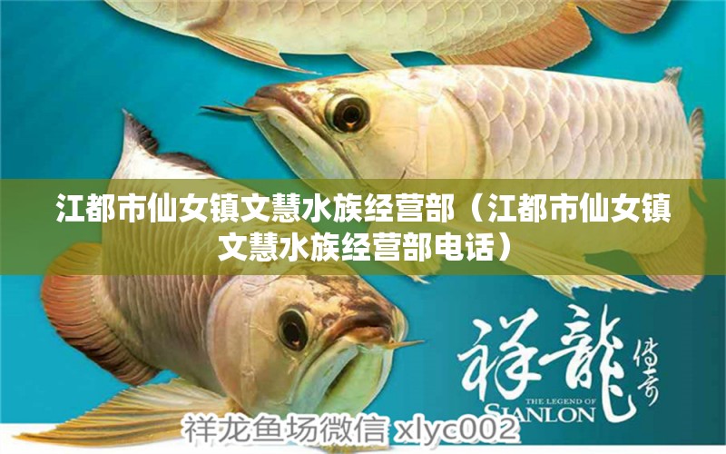 江都市仙女镇文慧水族经营部（江都市仙女镇文慧水族经营部电话）