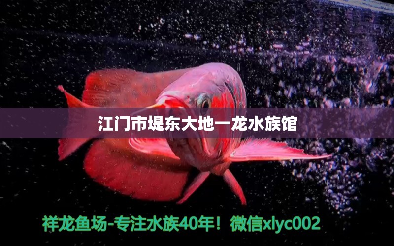 江门市堤东大地一龙水族馆