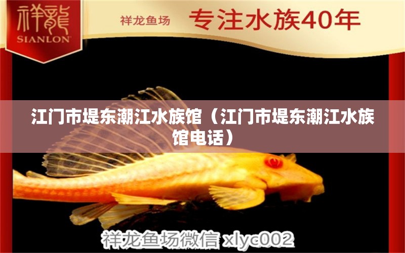 江门市堤东潮江水族馆（江门市堤东潮江水族馆电话）