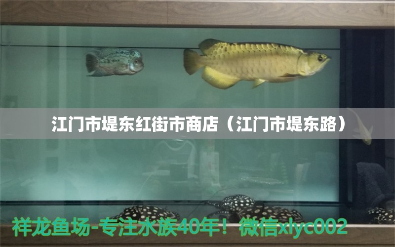 江门市堤东红街市商店（江门市堤东路） 全国水族馆企业名录