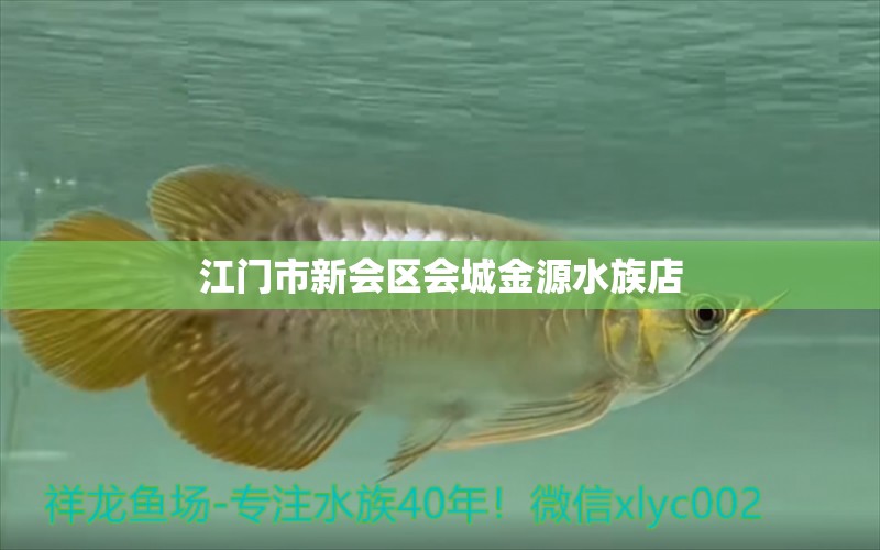 江门市新会区会城金源水族店 全国水族馆企业名录