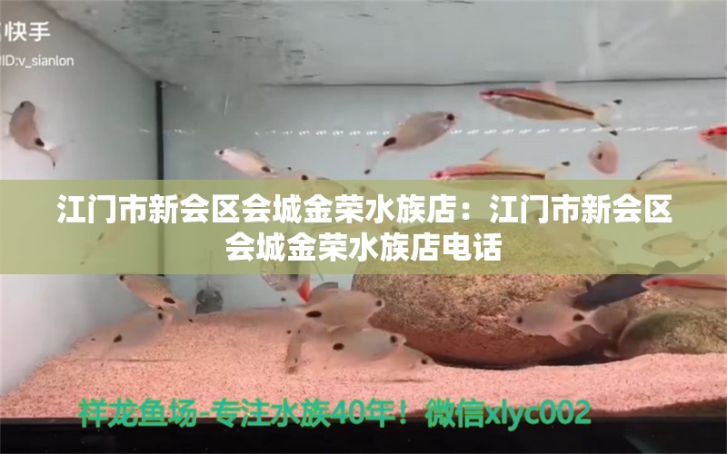 江门市新会区会城金荣水族店：江门市新会区会城金荣水族店电话