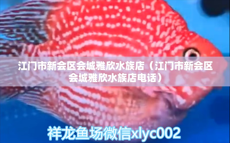 江门市新会区会城雅欣水族店（江门市新会区会城雅欣水族店电话）