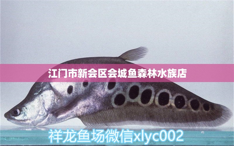 江门市新会区会城鱼森林水族店 全国水族馆企业名录