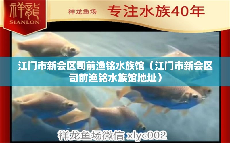 江门市新会区司前渔铭水族馆（江门市新会区司前渔铭水族馆地址）