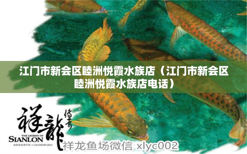 江门市新会区睦洲悦霞水族店（江门市新会区睦洲悦霞水族店电话）