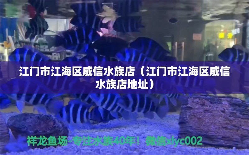 江门市江海区威信水族店（江门市江海区威信水族店地址）