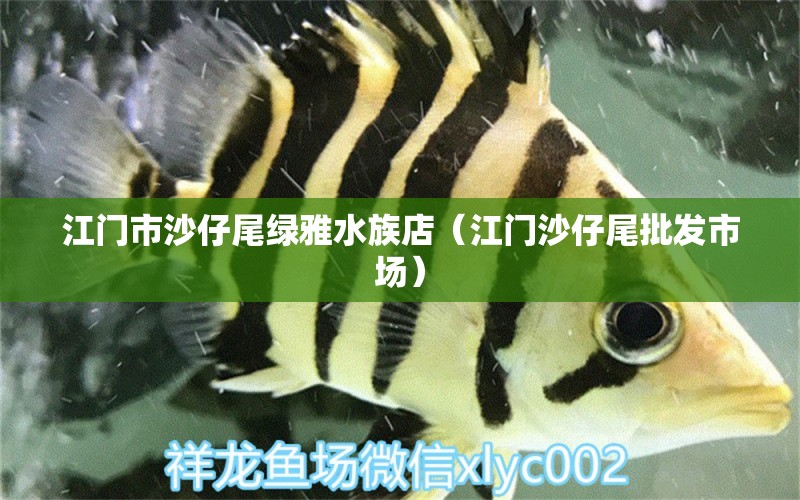 江门市沙仔尾绿雅水族店（江门沙仔尾批发市场） 全国水族馆企业名录