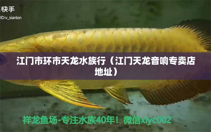 江门市环市天龙水族行（江门天龙音响专卖店地址） 全国水族馆企业名录