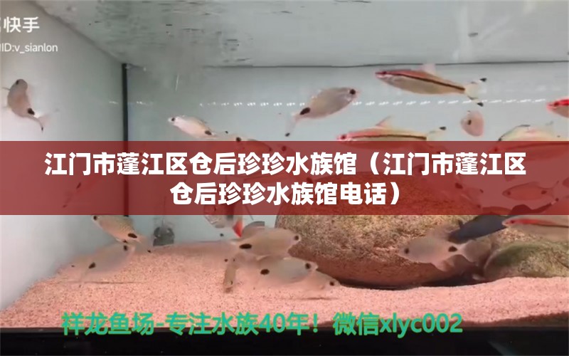 江门市蓬江区仓后珍珍水族馆（江门市蓬江区仓后珍珍水族馆电话） 全国水族馆企业名录