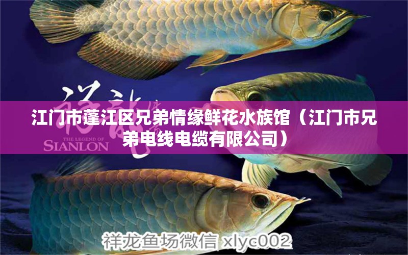 江门市蓬江区兄弟情缘鲜花水族馆（江门市兄弟电线电缆有限公司） 全国水族馆企业名录