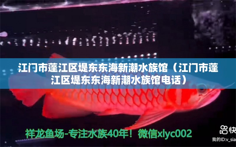 江门市蓬江区堤东东海新潮水族馆（江门市蓬江区堤东东海新潮水族馆电话） 全国水族馆企业名录