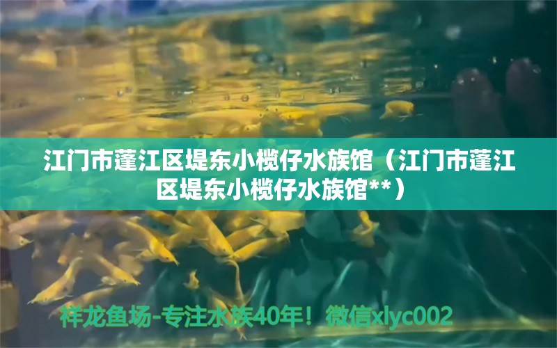 江门市蓬江区堤东小榄仔水族馆（江门市蓬江区堤东小榄仔水族馆**）