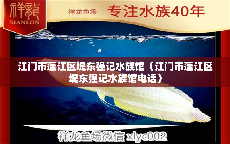 江门市蓬江区堤东强记水族馆（江门市蓬江区堤东强记水族馆电话）