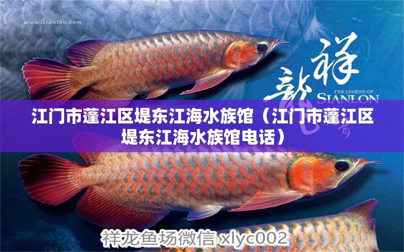 江门市蓬江区堤东江海水族馆（江门市蓬江区堤东江海水族馆电话） 全国水族馆企业名录