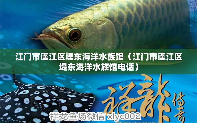 江门市蓬江区堤东海洋水族馆（江门市蓬江区堤东海洋水族馆电话）