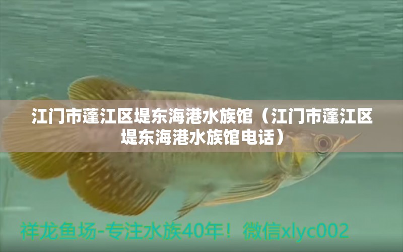 江门市蓬江区堤东海港水族馆（江门市蓬江区堤东海港水族馆电话）