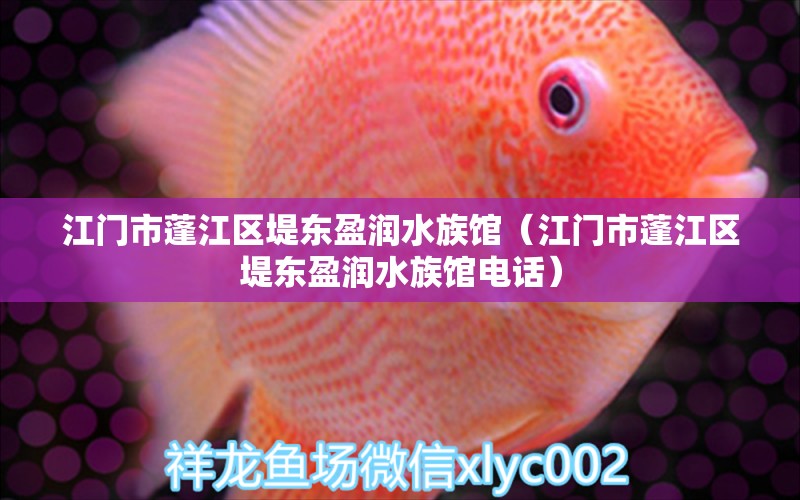 江门市蓬江区堤东盈润水族馆（江门市蓬江区堤东盈润水族馆电话）